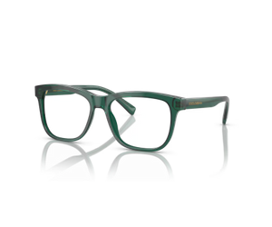 Dolce & Gabbana 0DX3356 3008  Kids Eyeglasses Transparent Green